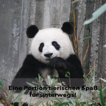 Laden Sie das Bild in den Galerie-Viewer, Panda (invisible)